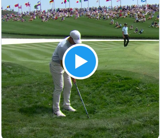 WATCH RORY MCLLROY MAKES COSTLY BOGEY AFTER SHOWDOWN WITH A FROG (!) AT THE PLAYERS